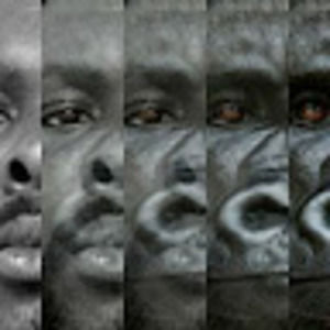 Meet your Posher, Dawain